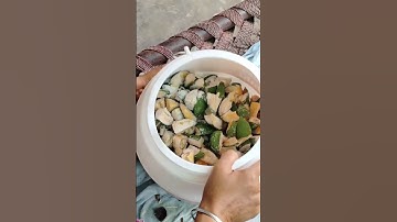 Mera vlog kaisa laga🤣🤣 #yt​​ #shorts​​ #shortvideo​​#vlog​​#minivlog​​#funny​​ #comedy​​#funnyshorts
