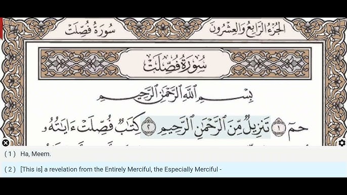 Qiziqarli foto video