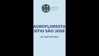 Voyage Brésil : Expérience Agroforesterie autour de Paraty