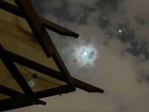لا شفت وجه القمر وجهك تهيالي