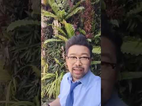 วีดีโอ: พืชสำหรับผนังในร่ม: houseplants สำหรับสวนแนวตั้งในร่ม
