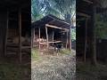 Bukid Series: Plants and animals at my parents’ backyard. | Village life in the Philippines