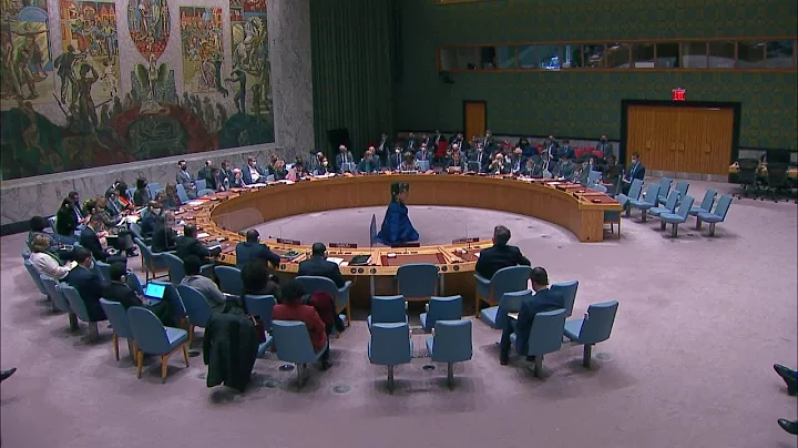 U.S., U.K. Envoys React to Russia's Veto on UN Res...