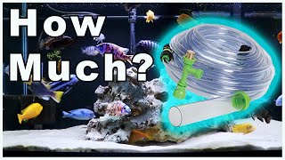 Fish Tank Water Changes 101: How Much Water Should You Change in Your Aquarium?