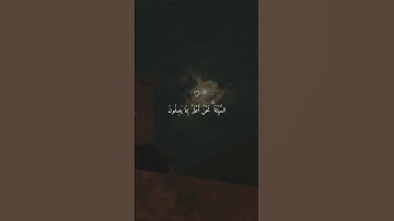 تلاوة خاشعة جميلة بصوت ماهر المعيقلي ارح سمعك #ماهر_المعيقلي