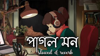 Pa Mon পগল মন Slowed Reverb Lofi Song Dual Language
