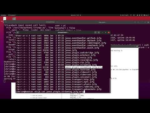 Streaming audio via GStreamer RTP to Janus Gateway (and hearing it)