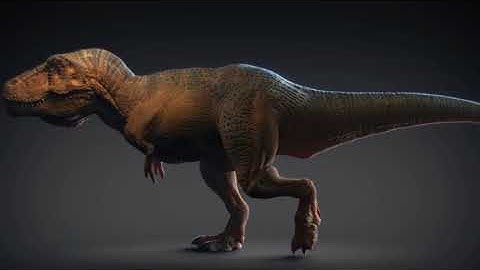 Dj Ferdi Özkan   Bomba