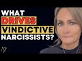 What Drives the Vindictive Narcissist?