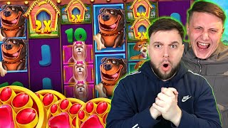 HOW WE MADE INSANE MONEY ON DOG HOUSE MEGAWAYS!!