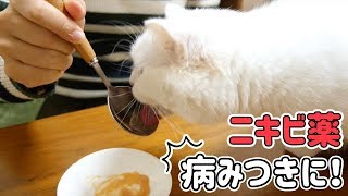 にきび薬が好きすぎて舐めまくる猫