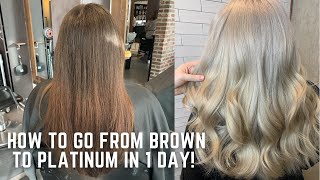 How to go from Brown to Platinum in one day  color correction tutorial transformation demi hair dye