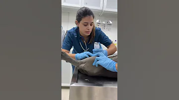 الحمدلله زورو منيح تفاصيل العملية نزلت كاملة فوتتوا حضروها 