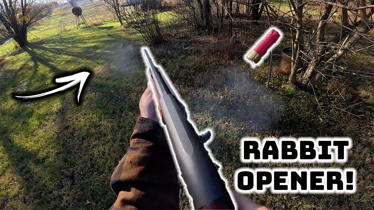 HUNTING  RABBITS with BEAGLES | FAST action !!!