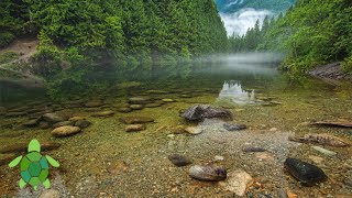 1 Hour of Music for Sleep and Relaxation | Generative Ambient