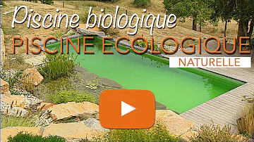 Comment fonctionne une piscine naturel ?