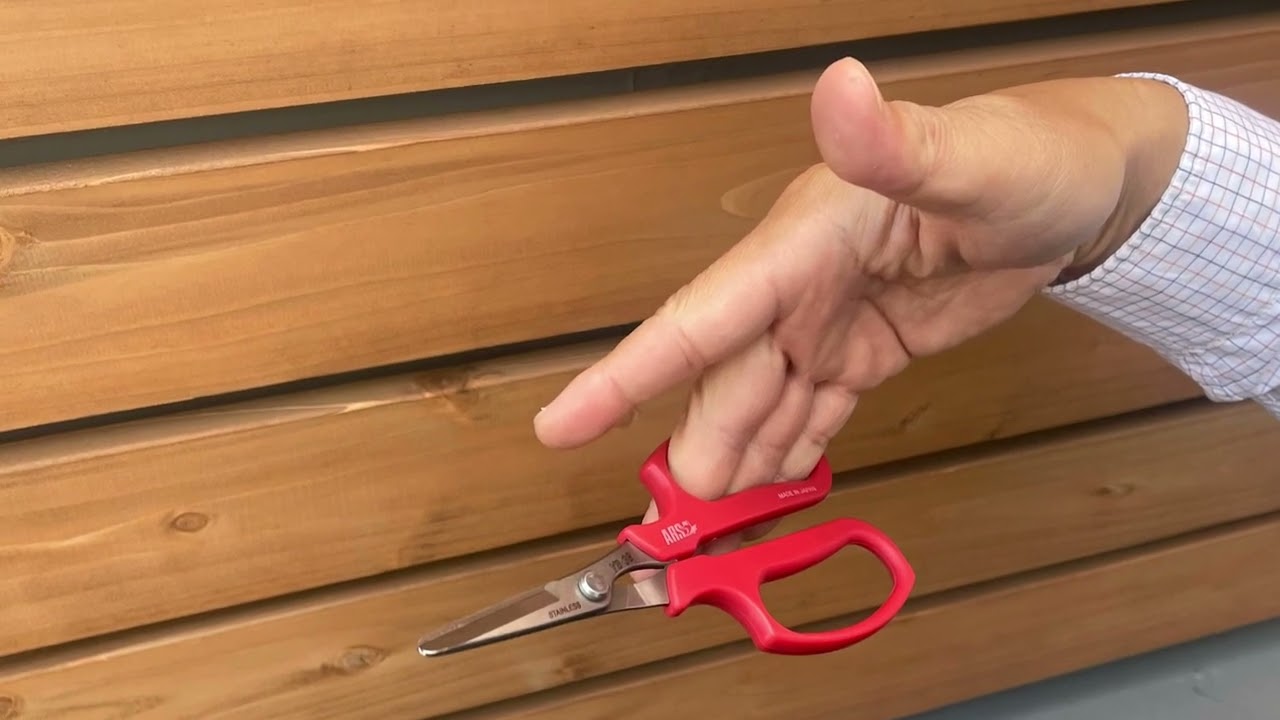 野菜収穫鋏 YS-38｜アルス《公式》園芸刃物ショップ