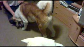 20101205.mp4