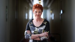 'Let's just stop it': Pauline Hanson calls on the government to ban foreign investment