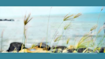 Best Contacts Manager for Personal and Business Use