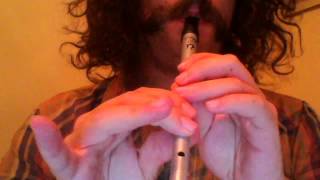 The Limerick Rake - Tin Whistle