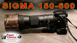 SIGMA 150-600 Contemporary // My FAVORITE lens // IF only I could have shot weddings with it!!