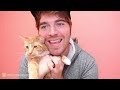 End of video