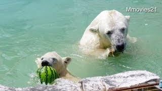 えっ！スイカ1個だけなの？