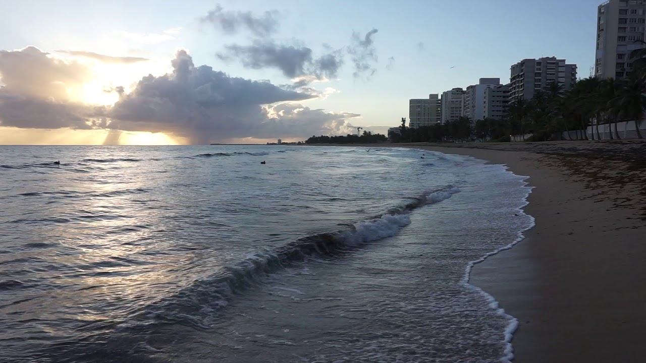 Pelicans Feeding At Sunrise In Condado Beach San Juan Puerto Rico Youtube