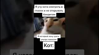 мем из тик тока #мемы #юмор #мем #shorts #memes #смешно #ржач #смешное #прикольно #рекомендации #рек