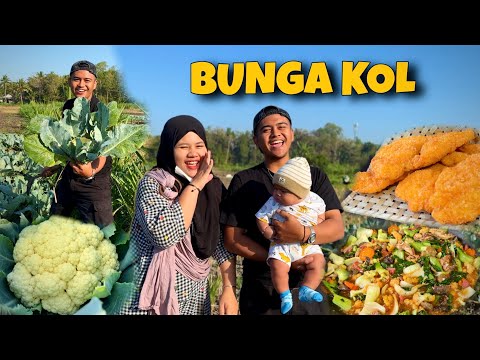 HARVESTING CAULIFLOWER IN THE RICE FIELDS WITH MY WIFE AND CHILDREN || COOKING JOWO CAPJEH THAT M...