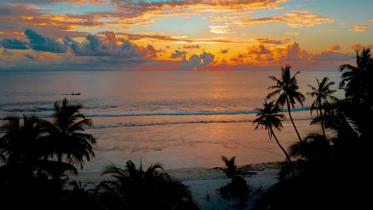 Tropical Twilight: The Soft Glow Between Worlds