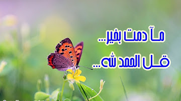 سورة ق كاملة مشاري العفاسي تلاوة مؤثرة خاشعة مبكية