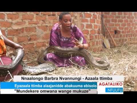 Ugandan woman says she gave birth to a python and she takes care of “him” as her child
