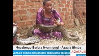 Eyazaala ttimba alaajanidde abakuuma ebisolo