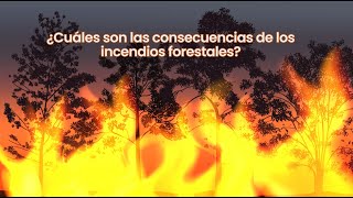 Incendios forestales