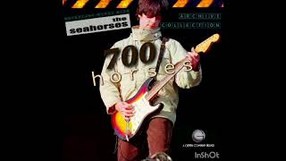 Vídeo de 700 Horses