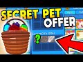 He offered me these OP Pets for My Secret Pet in Bubble Gum Simulator (Roblox)