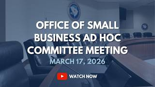 Office of Small Business Opportunity Ad Hoc Committee, March 17, 2026