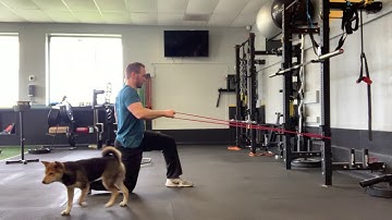 1/2 kneeling single arm rotational row