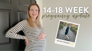 The Second Trimester Shift | Weeks 14–18 Pregnant