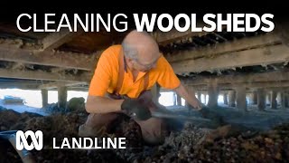 Clearing woolshed sheep poo is a dirty job with some surprising perks   | Landline | ABC Australia