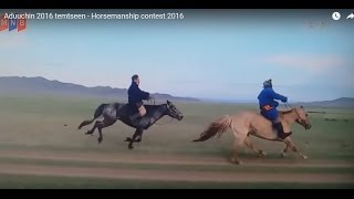 Aduuchin 2016 temtseen - Horsemanship contest 2016