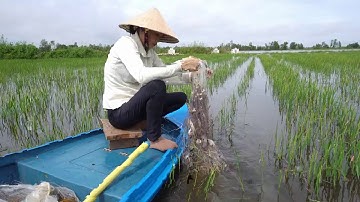 47 / Giăng lưới mùa nước nổi ở Miền Tây