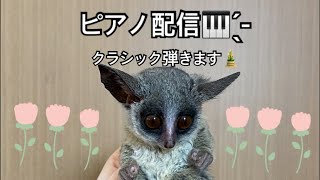 メンバーonly] ピアノ配信🎹 ̖́- 2023年1月3日 21時～ クラシック曲