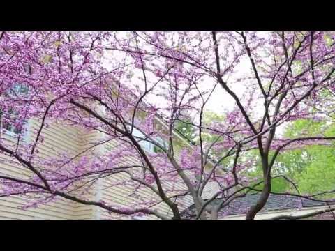 6 Bayridge Road, Greenland, NH home video tour