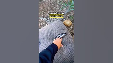 Can you spot the hidden cache before me?! Hint: It’s in one of the clips before I found it! 👀