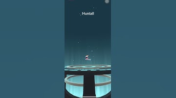 Evolution of Clamperl | Huntail | Clamperl | Pokémon Go #shorts #pokémongo #pokemongo #waleskidstv