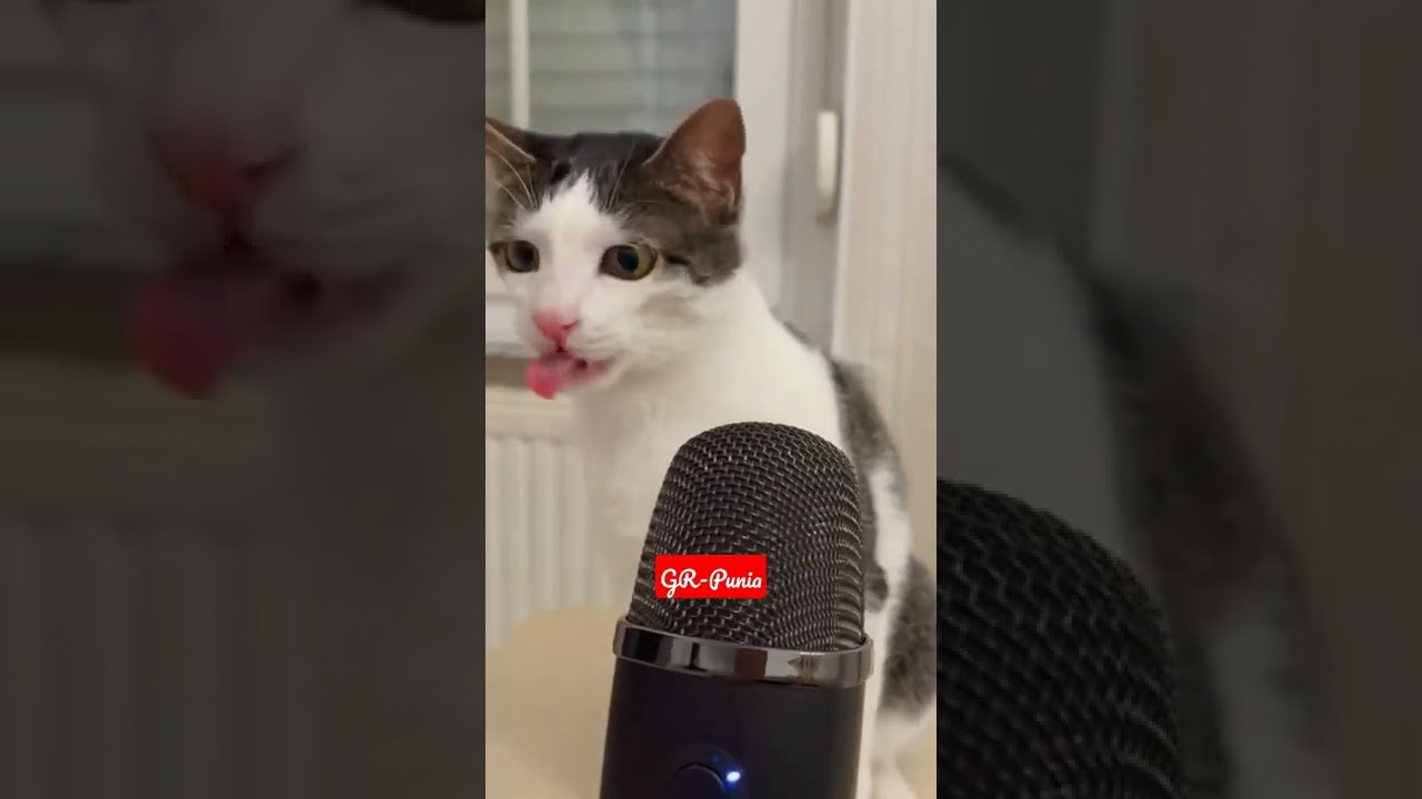 best crunching sound ❤️ 