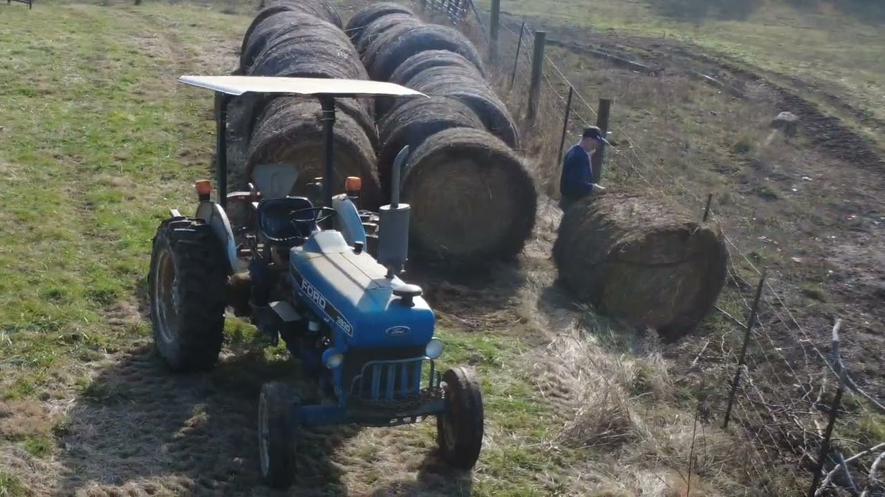 Cal didn't put that hay in the fence